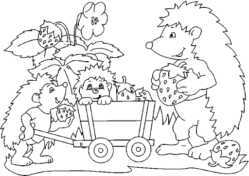 Coloring book hedgehogs collect strawberries